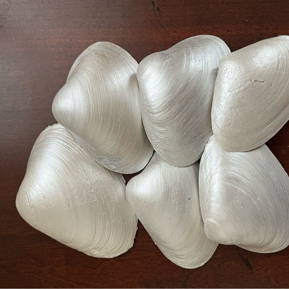 🌻6-Pearl painted shells - Picture 4 of 14